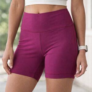 Aritzia High-Waisted Berry Shorts